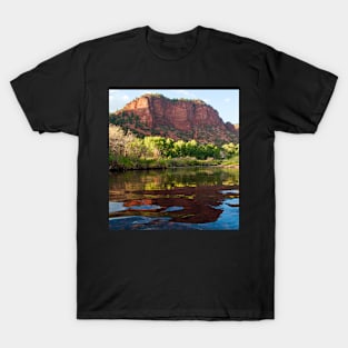 Frying Pan River T-Shirt